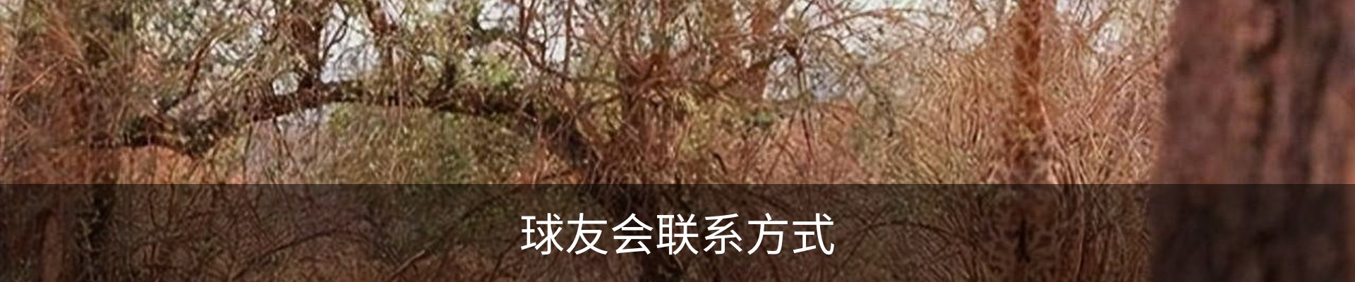 球友会联系方式